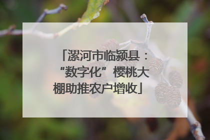 漯河市临颍县：“数字化”樱桃大棚助推农户增收